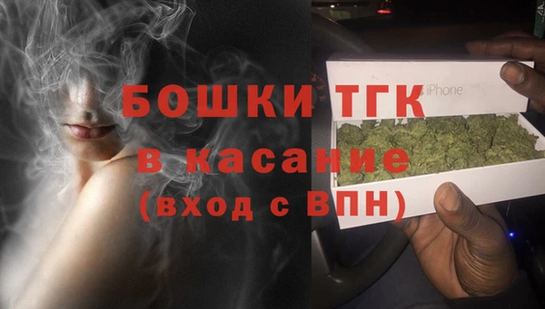 СК Дмитровск