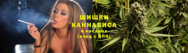 СК Дмитровск