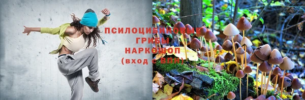 СК Дмитровск
