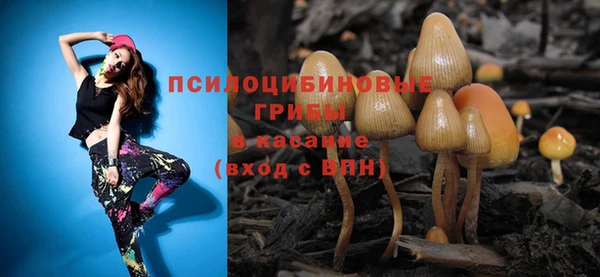 дживик Дмитров