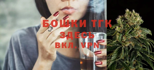 СК Дмитровск