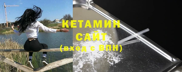 СК Дмитровск
