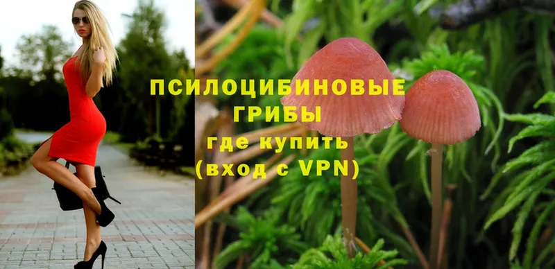 omg вход  Калачинск  Галлюциногенные грибы MAGIC MUSHROOMS 